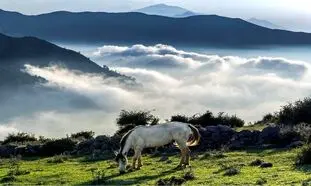 5 روستای دنج اطراف تهران برای پیک نیک