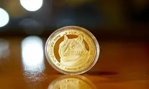 چرا خرید شیبا اینو این روزها داغ تر شده است؟
