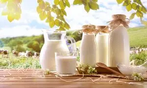 قیمت انواع شیر پرچرب در بازار چند؟
