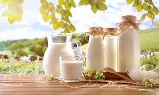 قیمت انواع شیر پرچرب در بازار چند؟