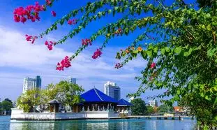 درباره تور کلمبو کندی بنتوتا چه می دانید؟