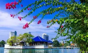 درباره تور کلمبو کندی بنتوتا چه می دانید؟