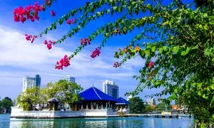درباره تور کلمبو کندی بنتوتا چه می دانید؟
