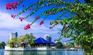 درباره تور کلمبو کندی بنتوتا چه می دانید؟