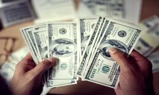 قیمت روز دلار 4 خرداد 1402/ نرخ ارز هفته جاری را صعودی تمام کرد