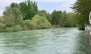 راهنمای سفر به باغ بهادران