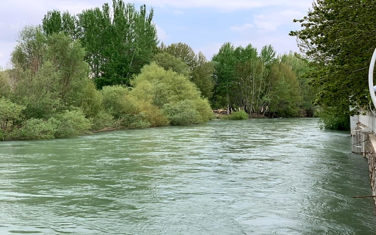 راهنمای سفر به باغ بهادران