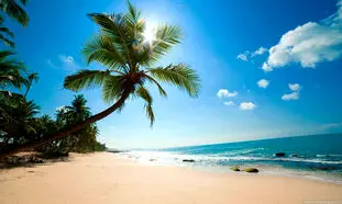 تور کیش را با آژانس زیماسفر تجربه کنید
