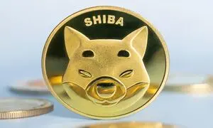 نرخ و آینده رمزارز شیبا اینو چگونه خواهد بود؟