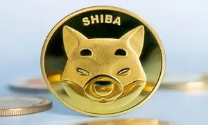 نرخ و آینده رمزارز شیبا اینو چگونه خواهد بود؟