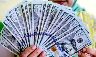 قیمت روز دلار 24 خرداد 1402/ تقویت شرایط صعود دوباره نرخ ارز