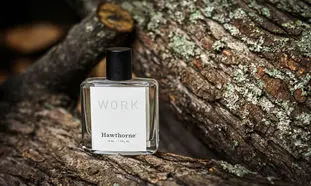 پرفروش ترین عطر های مردانه با رایحه چوبی