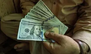 قیمت روز دلار 25 خرداد 1402/ نرخ ارز رسمی جهش پیدا کرد