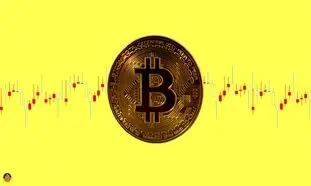 قیمت روز بیت کوین 25 خرداد 1402/ نرخ پادشاه رمزارزها 24 هزار دلار شد!