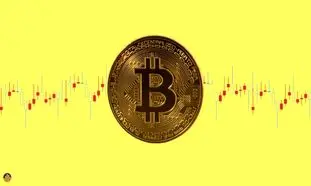 قیمت روز بیت کوین 25 خرداد 1402/ نرخ پادشاه رمزارزها 24 هزار دلار شد!