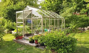 ایده جالب ساخت گلخانه و آکواریوم در حیاط منزل (ویدیو)