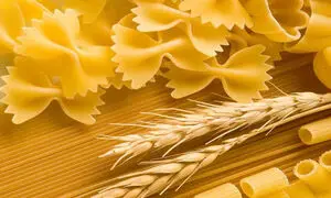 عرضه اولیه زر ماکارون چرا به تاخیر افتاد؟