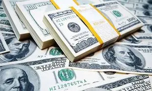 قیمت روز دلار 23 خرداد 1402/ نوسان نرخ ارز در کانال 41 هزار تومانی