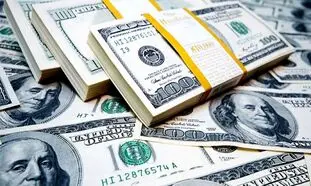 قیمت روز دلار 23 خرداد 1402/ نوسان نرخ ارز در کانال 41 هزار تومانی