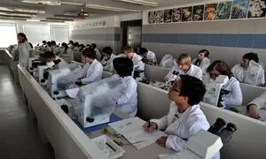 بهترین موسسه مهاجرتی برای تحصیل داروسازی در چین