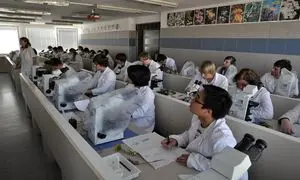 بهترین موسسه مهاجرتی برای تحصیل داروسازی در چین