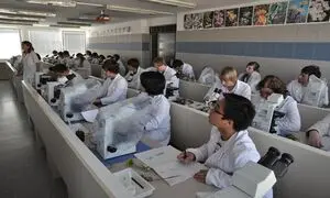 بهترین موسسه مهاجرتی برای تحصیل داروسازی در چین