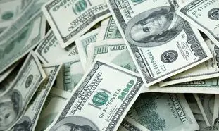 قیمت روز دلار 5 تیر 1402/ اثر تعطیلات پیش رو روی بازار ارز