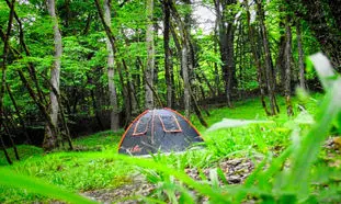 8 جنگل بکر مازندران برای تعطیلات آخر هفته