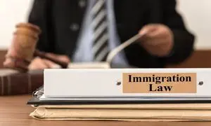چند دلیل برای استخدام وکیل مهاجرتی