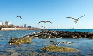 5 جاذبه دیدنی و پرطرفدار در تور اکتائو قزاقستان