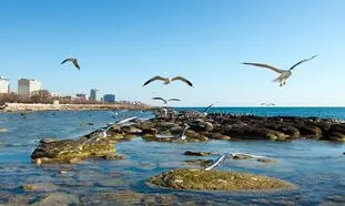 5 جاذبه دیدنی و پرطرفدار در تور اکتائو قزاقستان