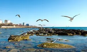 5 جاذبه دیدنی و پرطرفدار در تور اکتائو قزاقستان