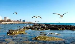 5 جاذبه دیدنی و پرطرفدار در تور اکتائو قزاقستان