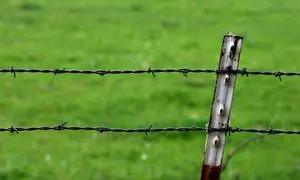 آشنایی با انواع تیر حصار + قیمت روز آهن آلات 22 تیر 1402