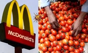 علت حذف گوجه فرنگی از منوی غذاهای مک دونالد