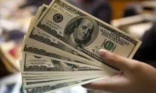 قیمت روز دلار 14 تیر 1402/ سرعت رشد قیمت ارز کم شد