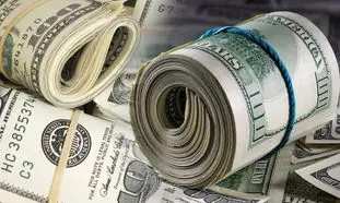 قیمت روز دلار 15 تیر 1402/ علت اصلی ثبات نسبی بازار ارز چیست؟