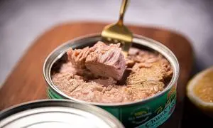 قیمت انواع تن ماهی در بازار چند است؟