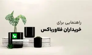 در هنگام خرید فلاور باکس به چه نکاتی دقت کنیم؟+ بهترین سایت خرید فلاور باکس