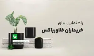 در هنگام خرید فلاور باکس به چه نکاتی دقت کنیم؟+ بهترین سایت خرید فلاور باکس