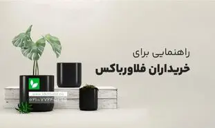 در هنگام خرید فلاور باکس به چه نکاتی دقت کنیم؟+ بهترین سایت خرید فلاور باکس