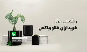در هنگام خرید فلاور باکس به چه نکاتی دقت کنیم؟+ بهترین سایت خرید فلاور باکس