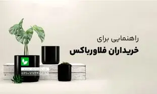 در هنگام خرید فلاور باکس به چه نکاتی دقت کنیم؟+ بهترین سایت خرید فلاور باکس