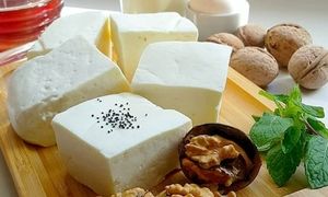 قیمت انواع پنیر قالبی 400 گرمی در بازار
