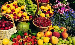 میوه تا 20 روز دیگر ارزان می شود