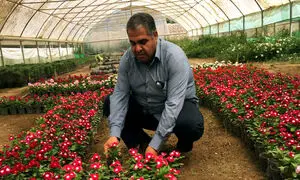 خرید گل؛ تقاضایی که با کاهش 90 درصدی روبه‌رو شد