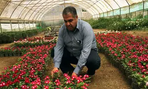 خرید گل؛ تقاضایی که با کاهش 90 درصدی روبه‌رو شد