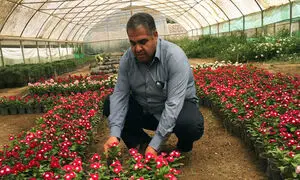 خرید گل؛ تقاضایی که با کاهش 90 درصدی روبه‌رو شد