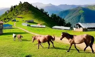 بهترین مقاصد گردشگری ایران برای مسافرت‌های شهریور ماه