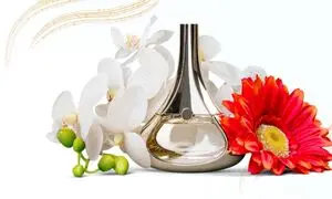 7 راه تشخیص عطر و ادکلن اورجینال